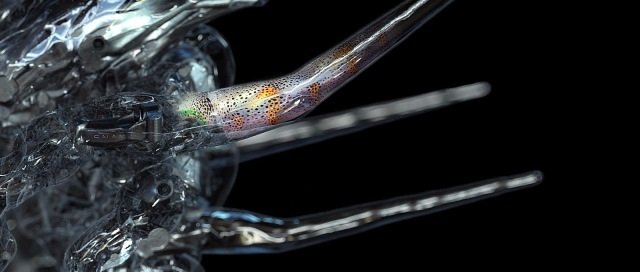 Luciferase Microarray Patches Contain DARPA Hydrogel & Autonomous Insect Cyborg Sentinels